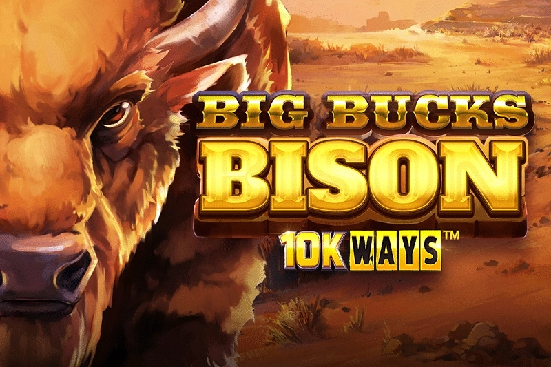 Big Bucks Bison 10k Ways